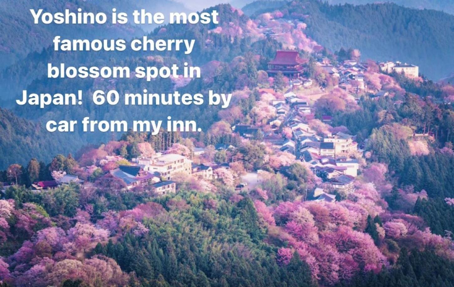 Inn Unkai No Sato No Yado Nosegawa Zewnętrze zdjęcie